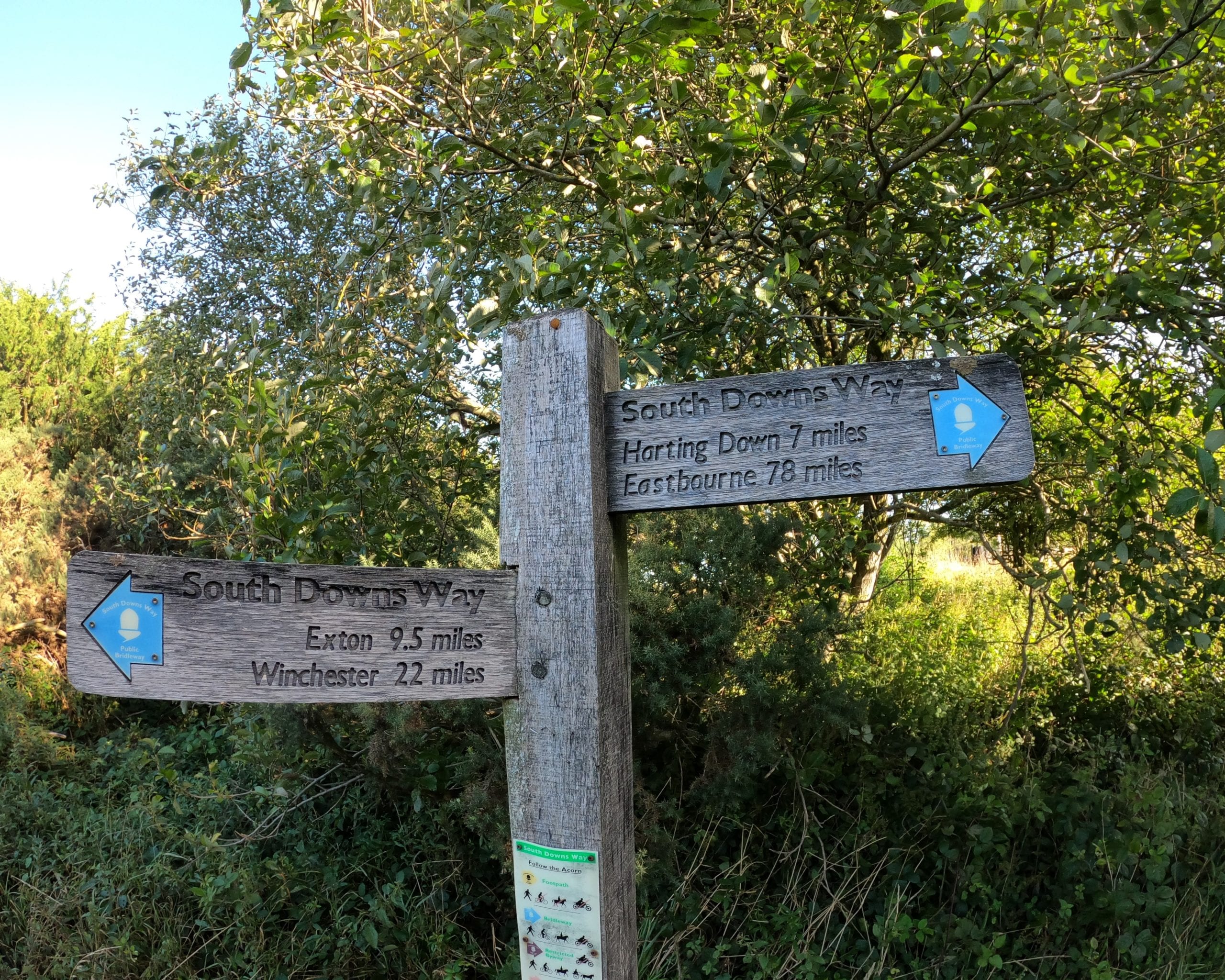 South Downs Way Hike Sign