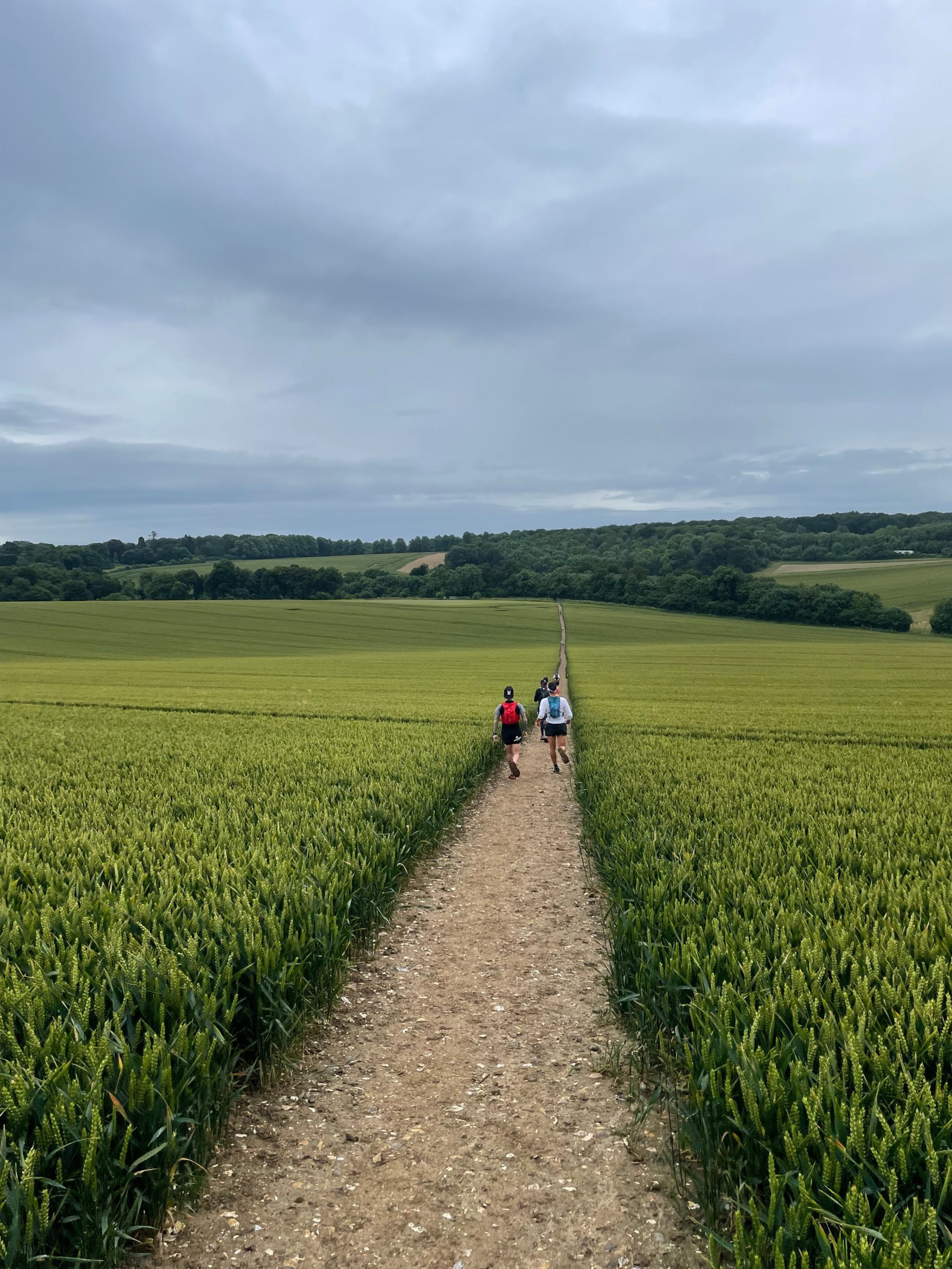 Path on the ridgeway hike
