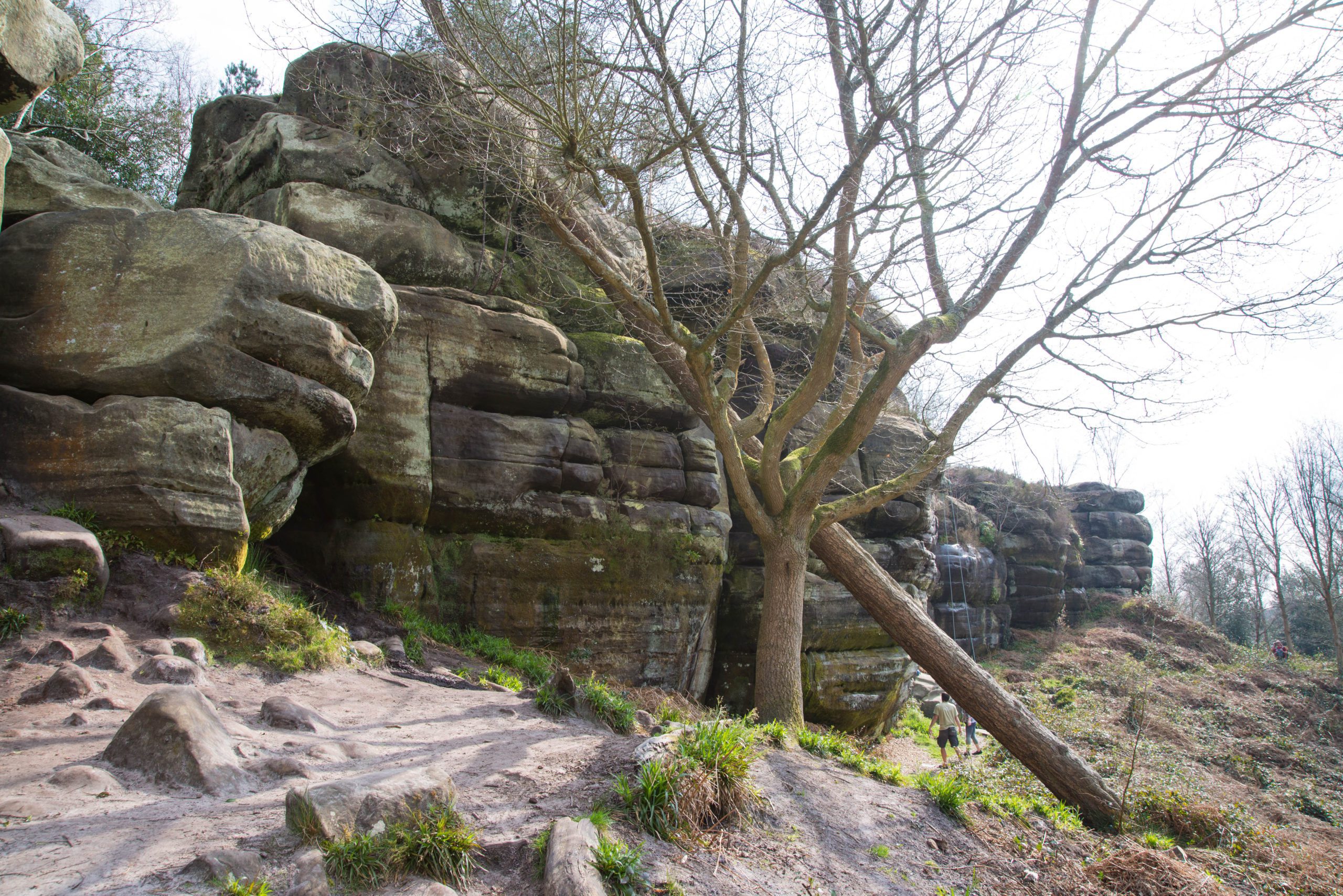 Harrisons Rocks - Sand stone rock climbing crag 2