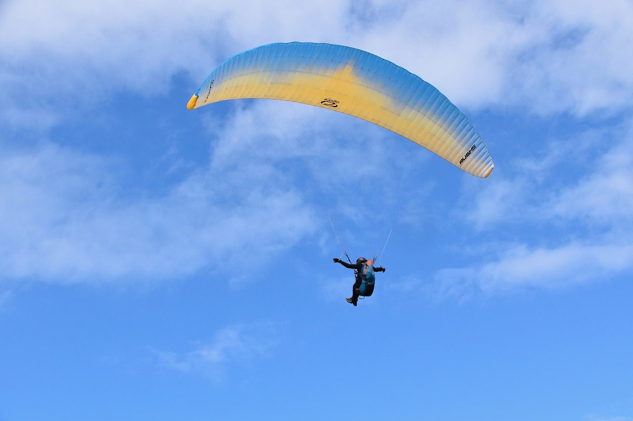 Flying Fever Paragliding