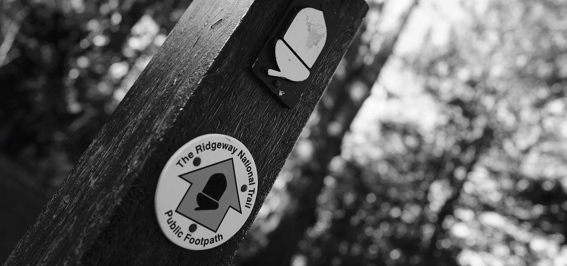 The Ridgeway Hike